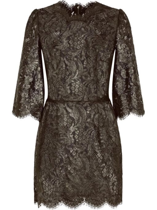 Dolce & Gabbana  floral-lace sheer minidress