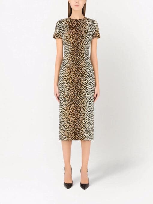 Dolce & Gabbana  leopard print short-sleeve dress - Image 3