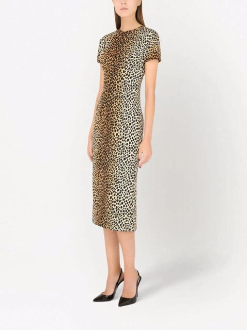 Dolce & Gabbana  leopard print short-sleeve dress - Image 2