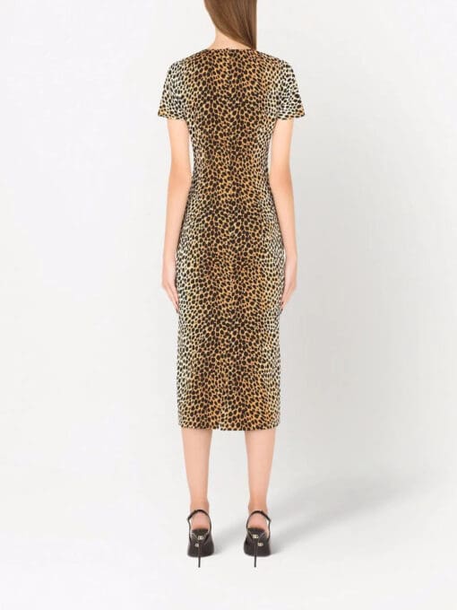 Dolce & Gabbana  leopard print short-sleeve dress - Image 4