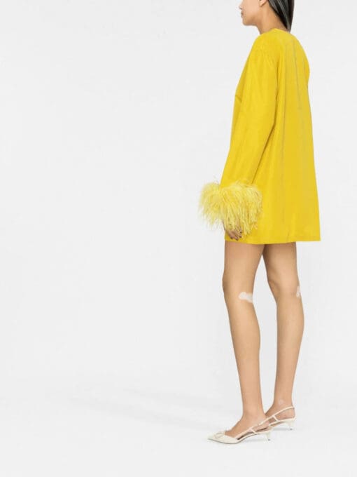 Valentino Garavani  feather-trim minidress - Image 3