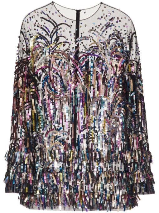 Valentino Garavani  Tulle Illusione embroidered minidress