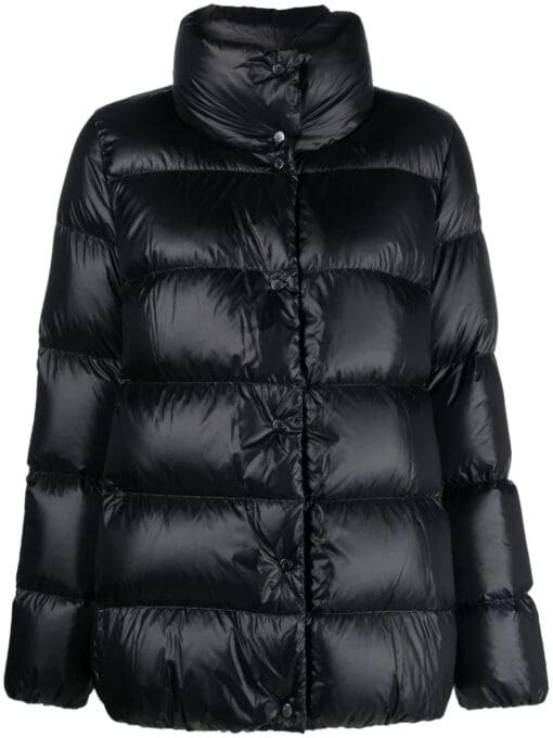 Moncler  Cochevis down jacket